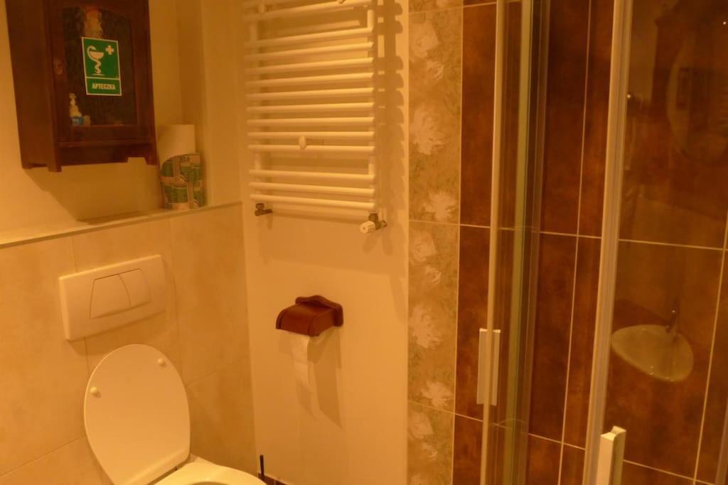 Apartment Spacious In District. Breslau