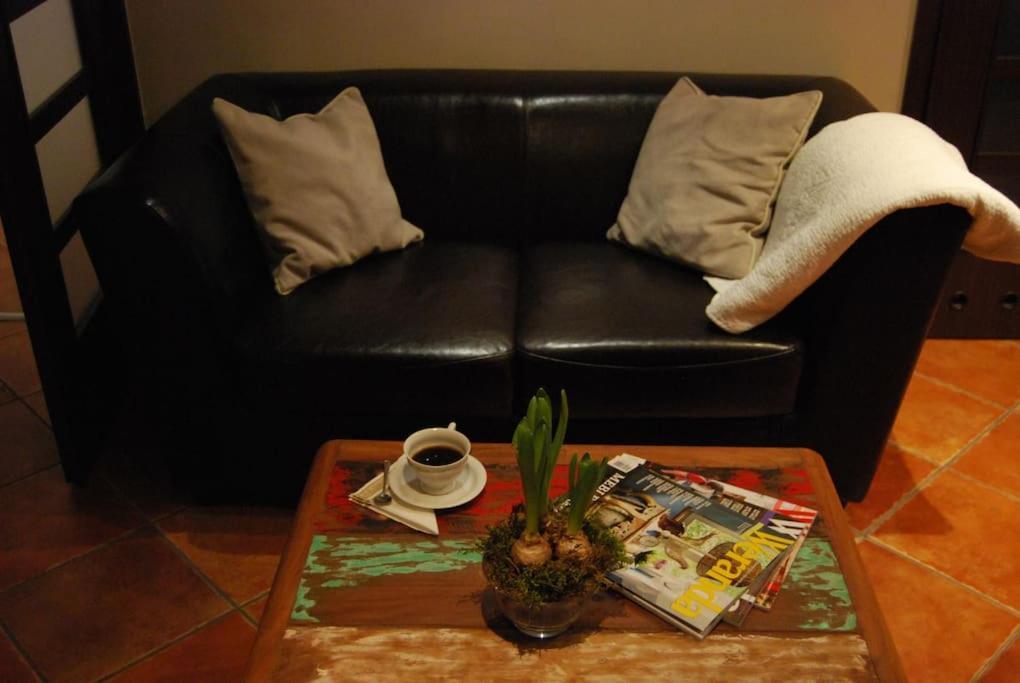 Spacious In District. Breslau