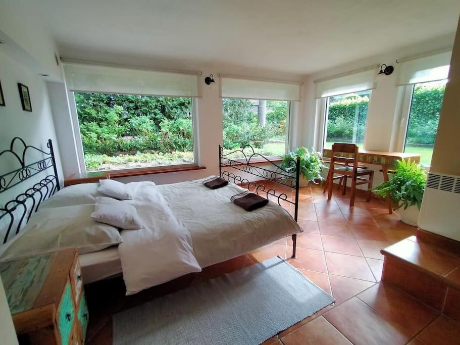 Spacious In District. Apartment Breslau
